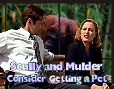 Scully and Mulder Consider Getting a Pet